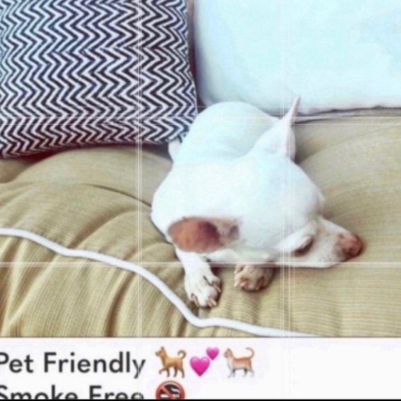 Make & Model Nordstrom Purple cotton Confetti dot robe with belt - Picture 12 of 12